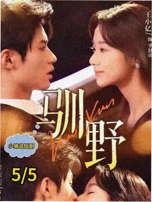 集结号 战争片高清在线播放